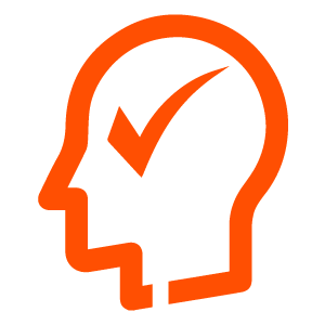 Lead Identity Check